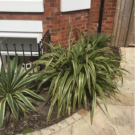 Апартаменты Bright, Spacious 1br Chorlton Apt For 2 W/patio