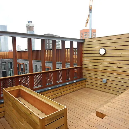 Rooftop Views