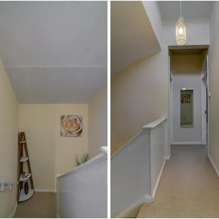 Newly Renovated & Stunning House For 6,