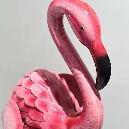 La Jungle Du Swan Appartement Manchester