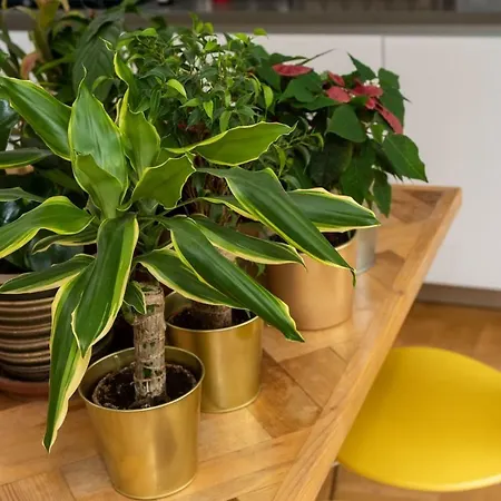 With Garden In By Guestready Апартаменты *