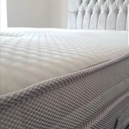 Apartment Acacia House