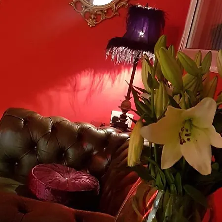 Party Pad Апартаменты