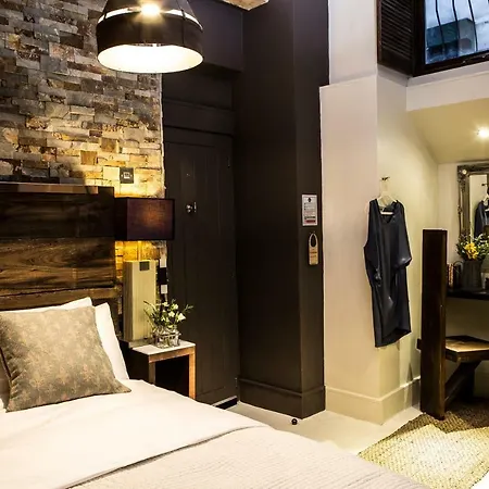 Отель The Cow Hollow 4*