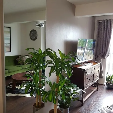Umbrella Tree Homestay *