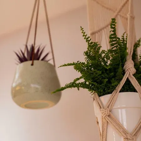 Ferienhaus Rosemary Manchester