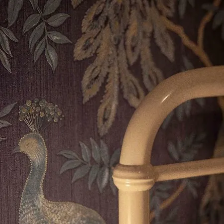 The Peacock *