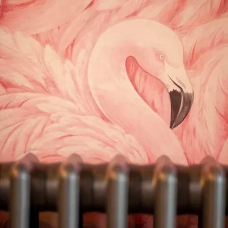 The Flamingo Holiday home Manchester