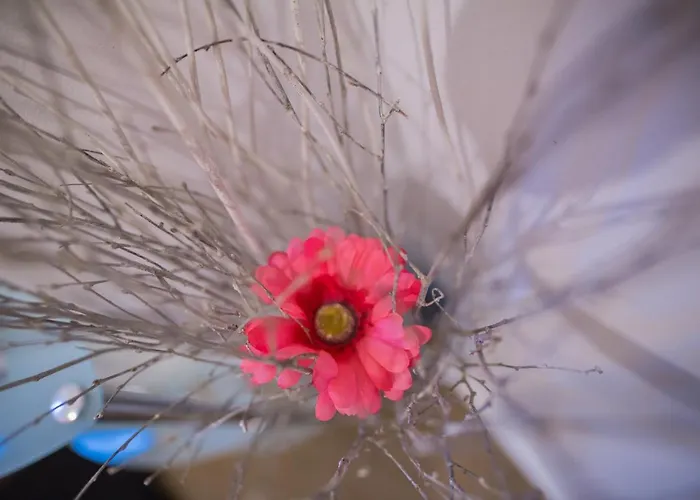 Daire Alban Townhouse *