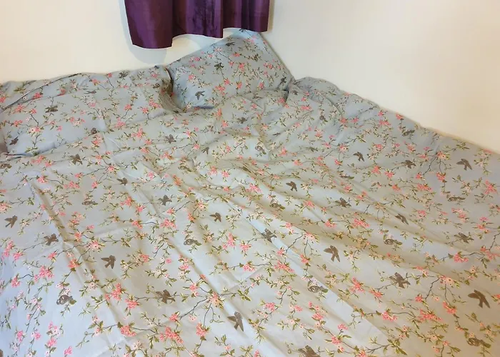 Splendid 4bedrooms Shared