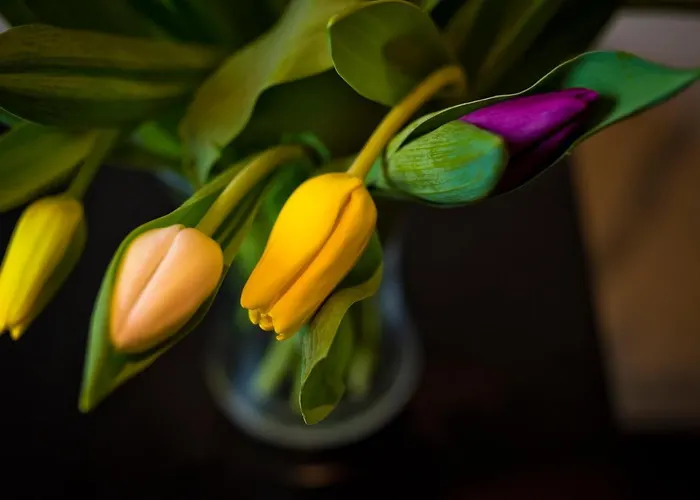 Bowling Zajazd Manchester