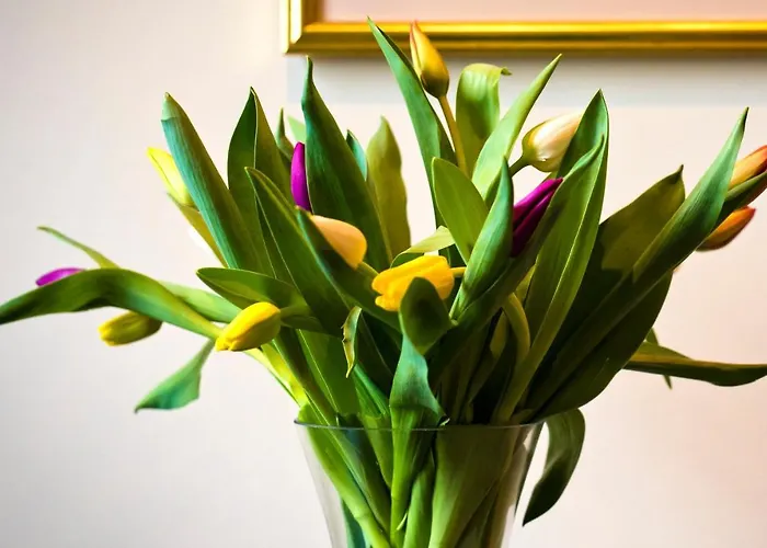 Мини-отель Bowling Манчестер