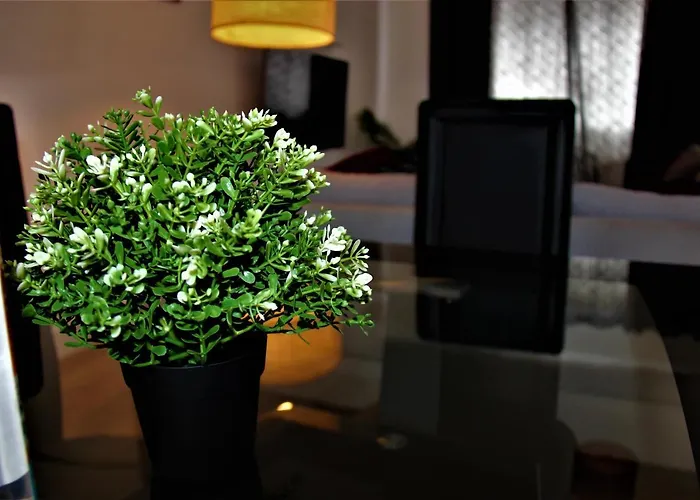 Apartament Mosh Homes *