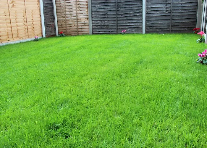 Mosh Homes * Manchester