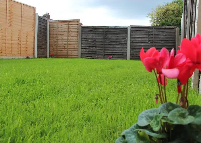 Mosh Homes Apartment