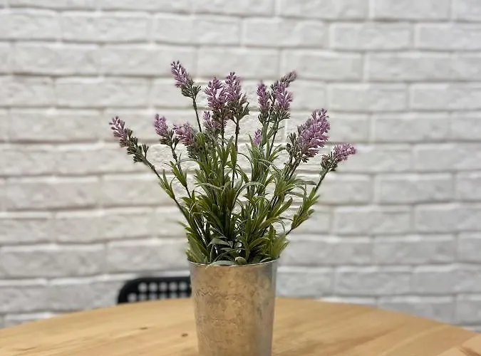 One Bed - Centre Apartmán *