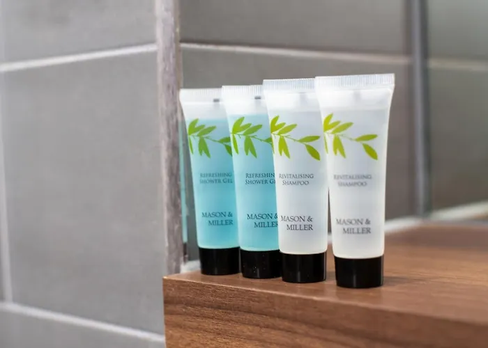 The Assembly Oasis Holding