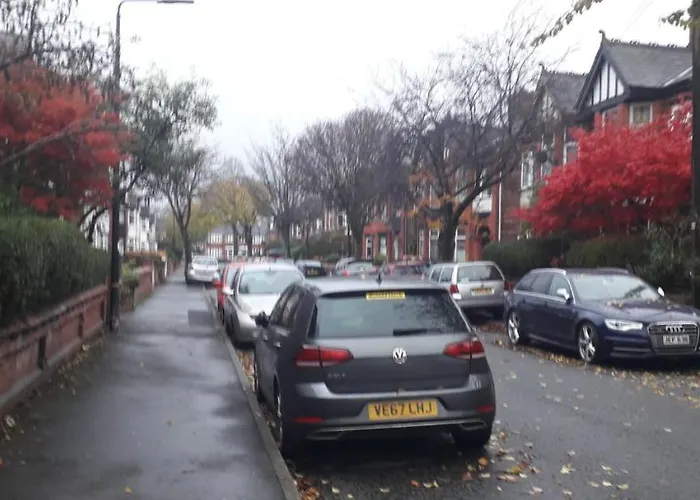 Bird Song Old Trafford