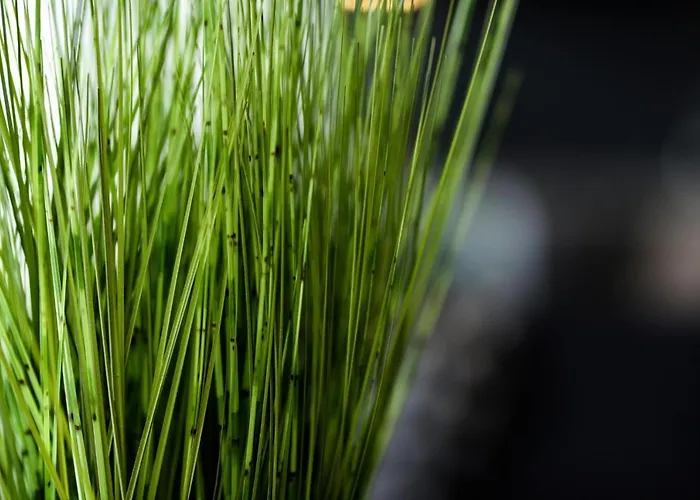 Onpoint - Spacious 2 Bedroom Apt - City Centre With Balcony