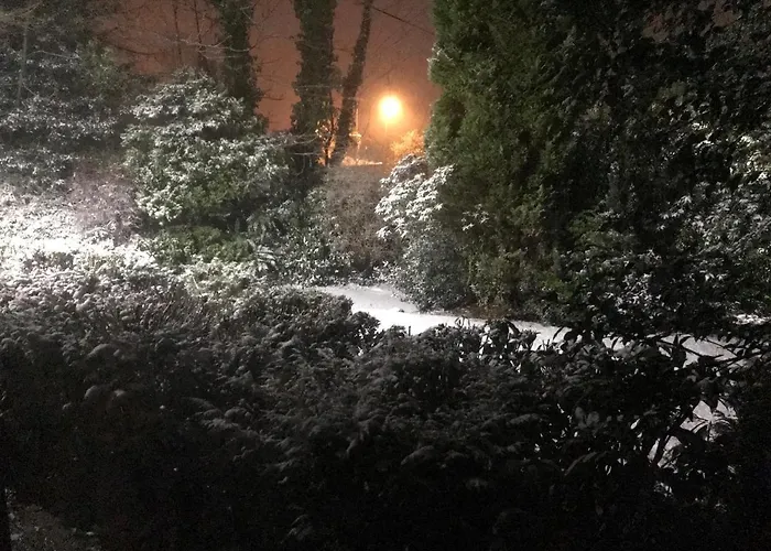 La Suisse Serviced *