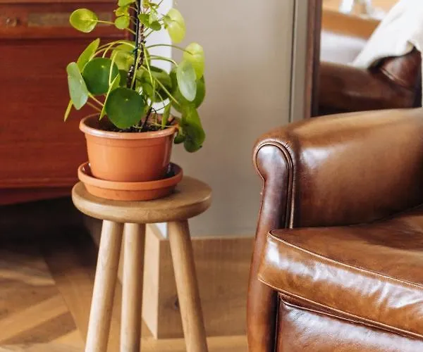 公寓式酒店 Native 4*