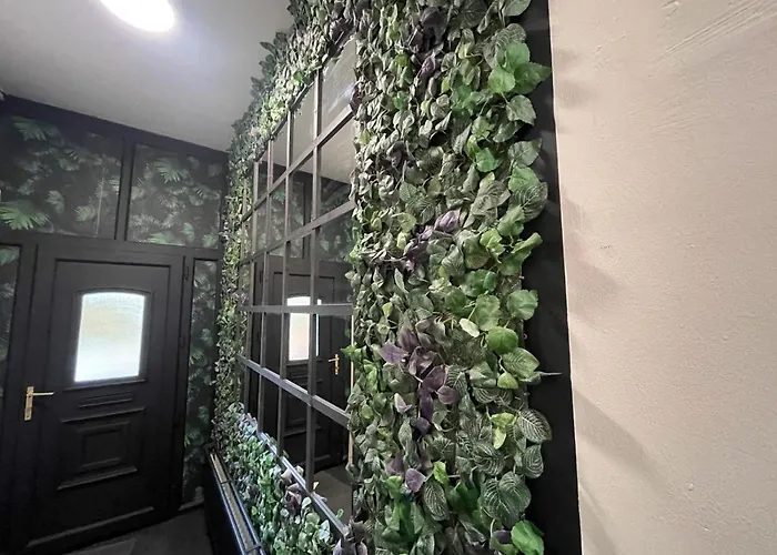 아파트 Deluxe In 20 Percent Off For Drake Concert Attendees!