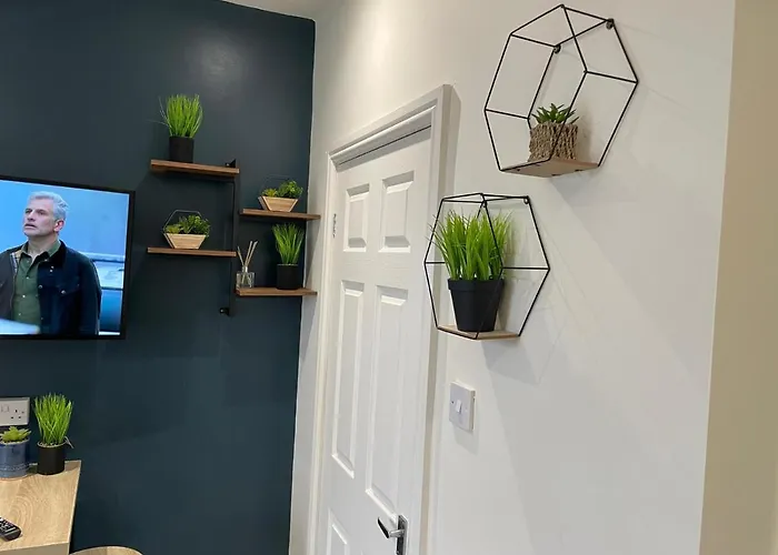 Deluxe In 20 Percent Off For Drake Concert Attendees! 아파트 *