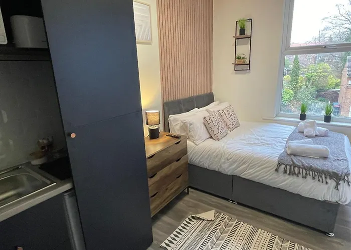 Deluxe In 20 Percent Off For Drake Concert Attendees! 아파트 맨체스터