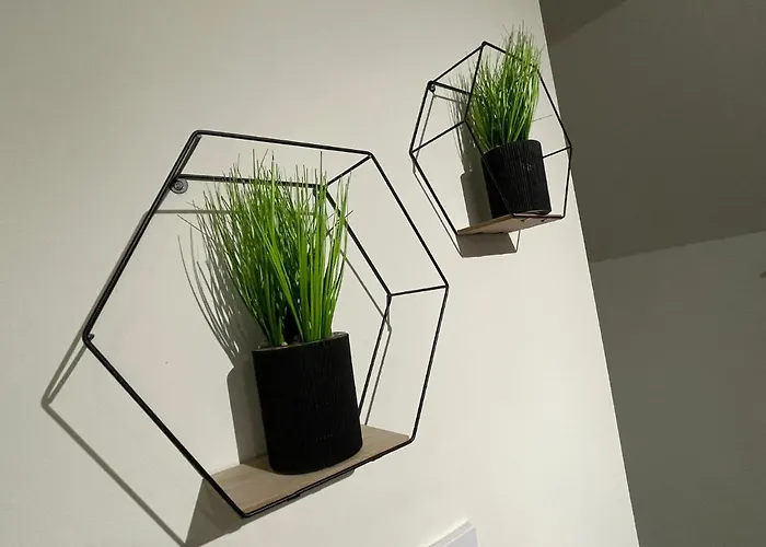 Deluxe In 20 Percent Off For Drake Concert Attendees!