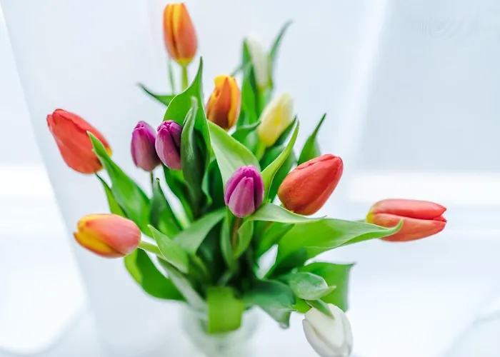 Half Mile To Etihad Stadium & Coop Arena, Free Parking, 6 Ppl Μάντσεστερ