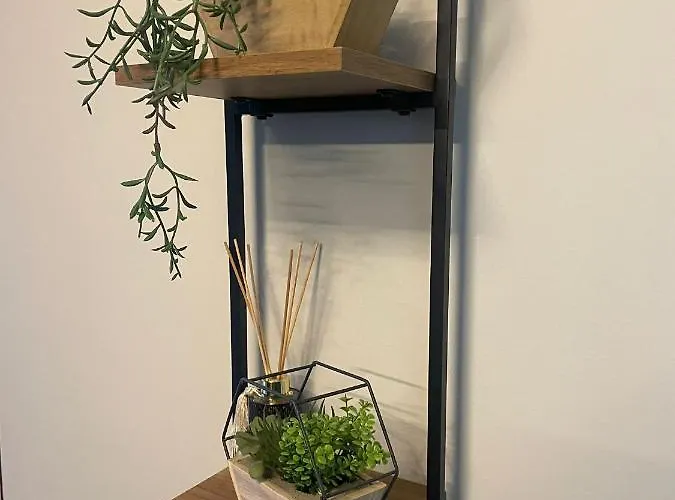 Deluxe In 20 Percent Off For Drake Concert Attendees! 아파트 맨체스터