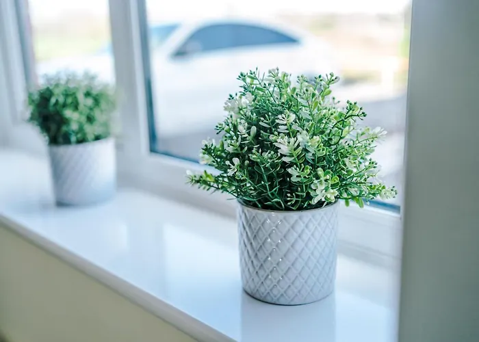 Dom wakacyjny Videl Homes