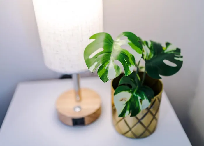 Videl Homes * Manchester