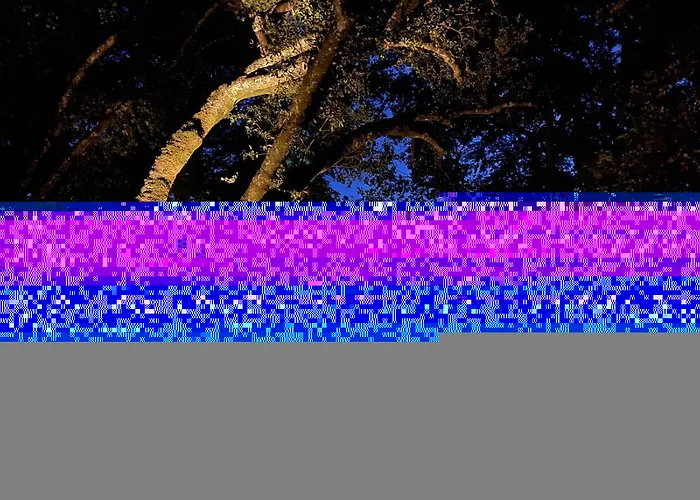 펜션 Spacious And Modern 5 Bedroom House