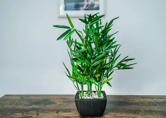 Spacious 4 Bed With Parking Prázdninový dům Manchester