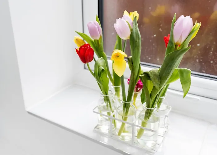 4 Bedroom, 3 Bathroom Walking Distance To Centre