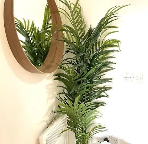 Fresh 2 Bedroom Flat Close To Center Camp Street *