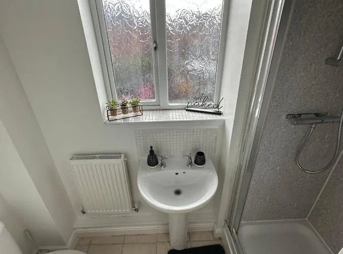 Zenith * 맨체스터