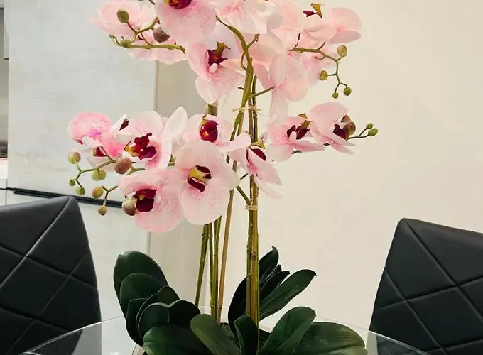 Stylish New Built Double Bed Kwatera prywatna Manchester