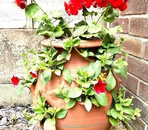 Spacious 3 Bedroom House - Sleeps 5