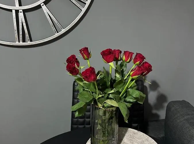 홈스테이 Center 맨체스터