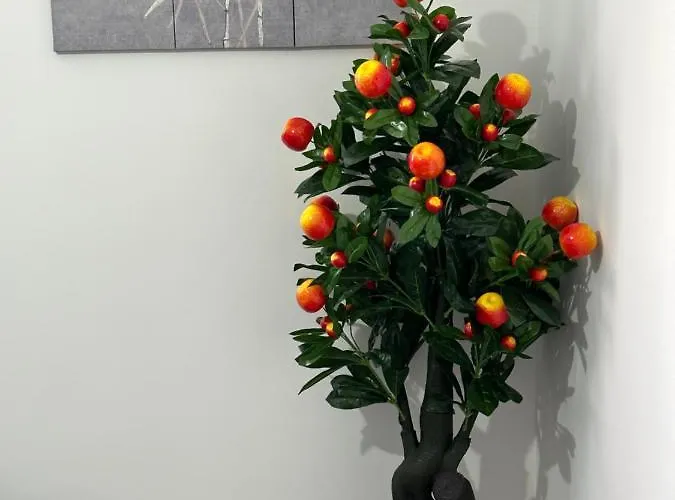 2 Bedroom Flat Close To City, Stadium And Coop Arena *