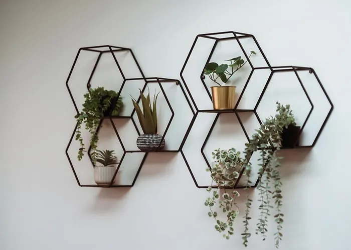 Exquisite 6 Bedroom Luxury