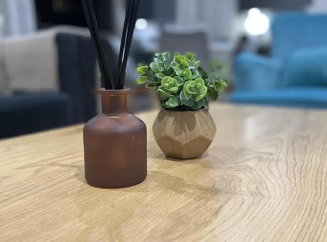 公寓 Luxury Spa City Centre 曼彻斯特