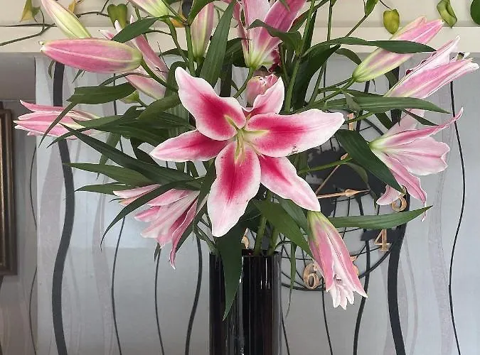 Park Crescent Μάντσεστερ