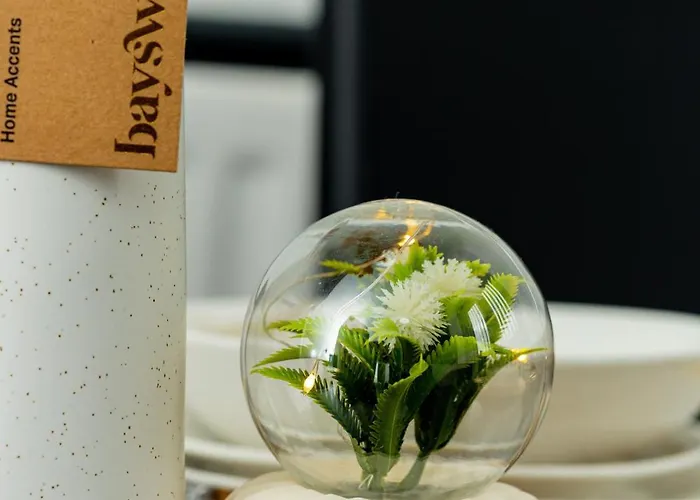 Dynasty - Alison Kelly Close 曼彻斯特