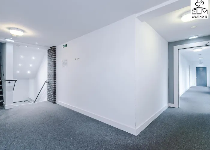 Elm , Collection Of Available Near Media , Free Parking 3*