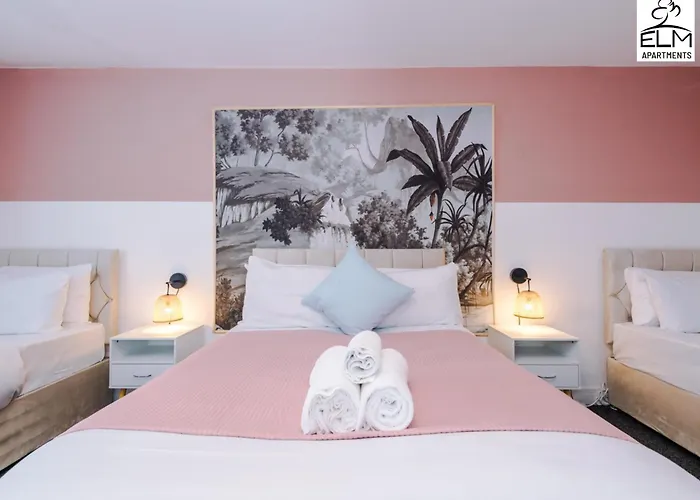 Elm , Collection Of Available Near Media , Free Parking マンチェスター