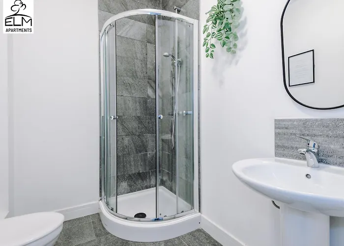 Elm , Collection Of Available Near Media , Free Parking Manchester