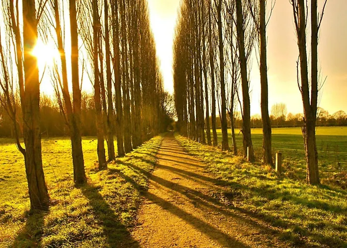 Grange Lane Appartement Manchester